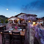Vinifera Vineyards Selçuk