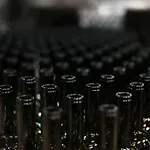 Konukevi Vinifera Vineyards