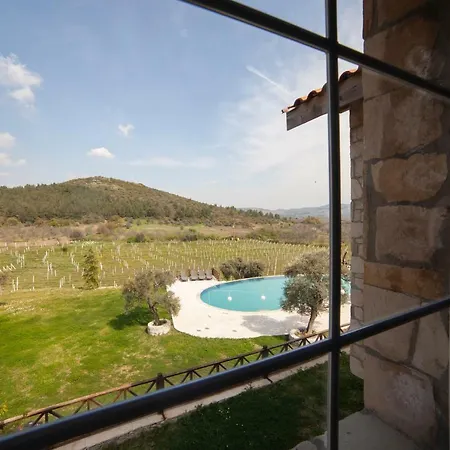 Vinifera Vineyards Gasthof Selçuk