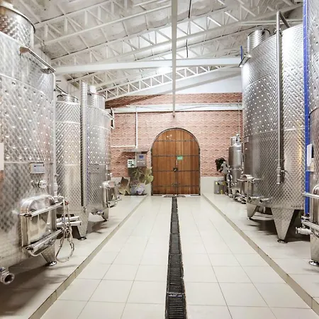 Vinifera Vineyards Konukevi 4*