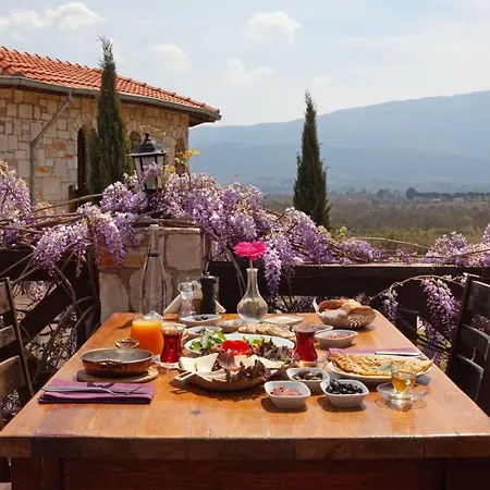 Konukevi Vinifera Vineyards 4*