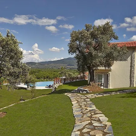 Vinifera Vineyards 4*