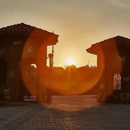 Vinifera Vineyards Selçuk