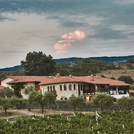 Vinifera Vineyards