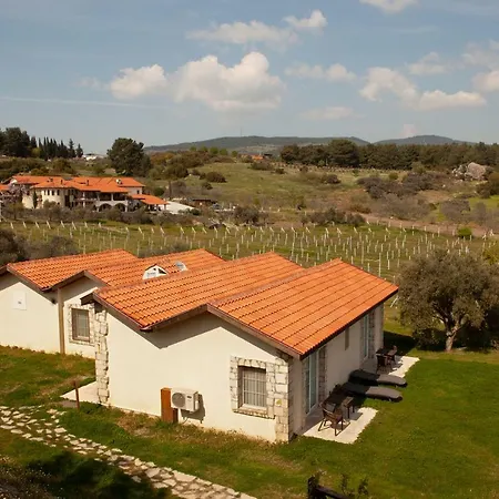Vinifera Vineyards Affittacamere 3*