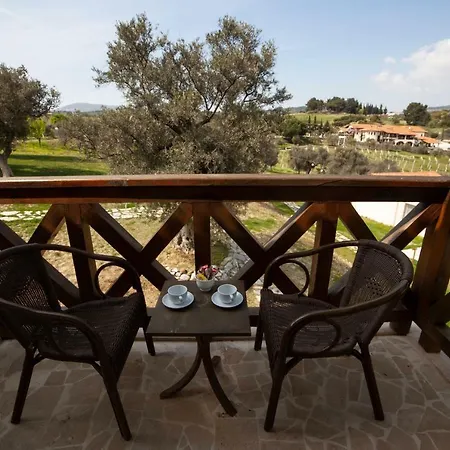 Affittacamere Vinifera Vineyards 3*
