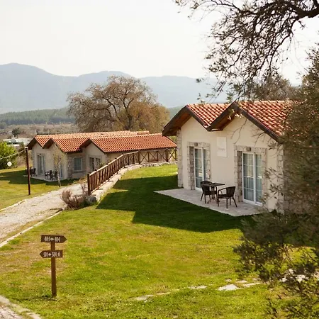 Affittacamere Vinifera Vineyards