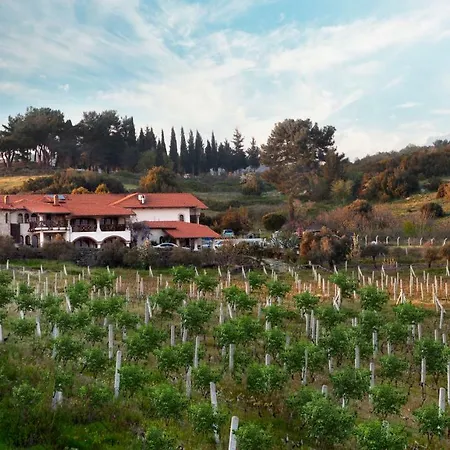 Vinifera Vineyards Affittacamere 3*