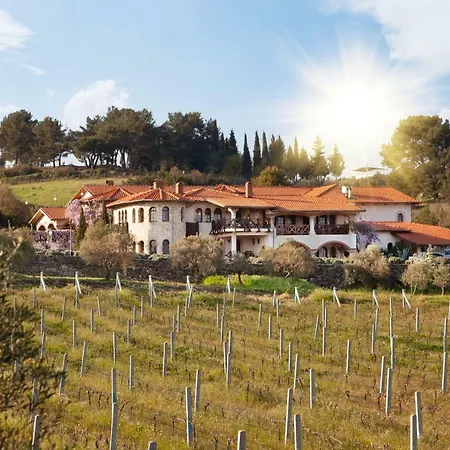 Vinifera Vineyards Affittacamere
