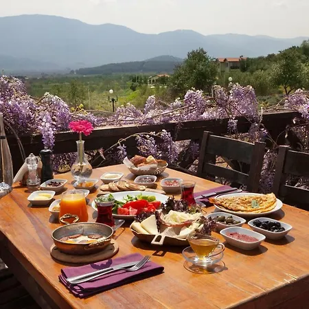 Vinifera Vineyards Gasthof