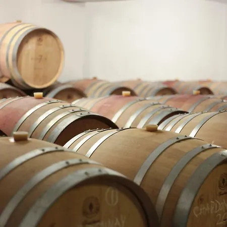 Vinifera Vineyards 4* Selçuk