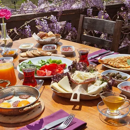 Vinifera Vineyards Guest house
