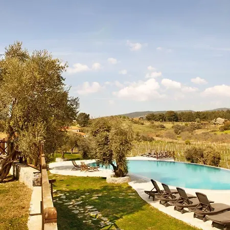 Konukevi Vinifera Vineyards Selçuk