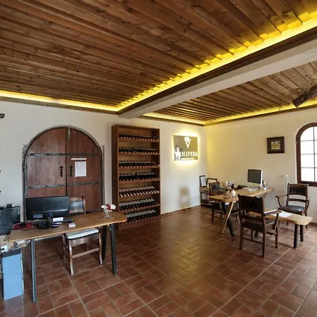 Vinifera Vineyards Pensionat 4*
