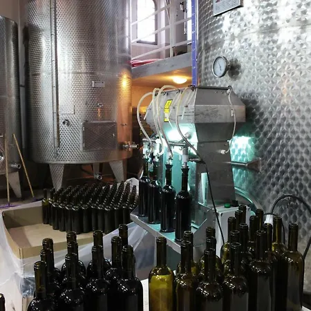 Pensionat Vinifera Vineyards Selçuk