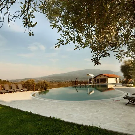 Vinifera Vineyards 4*