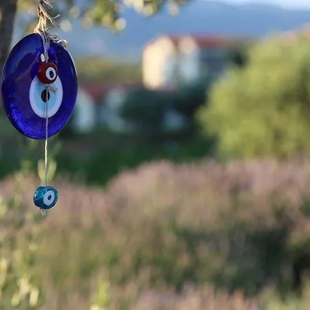 Maison d'hôtes Vinifera Vineyards 4*