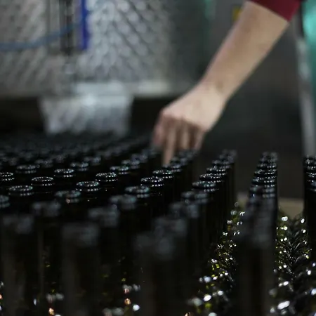 Vinifera Vineyards Vendégház 3*